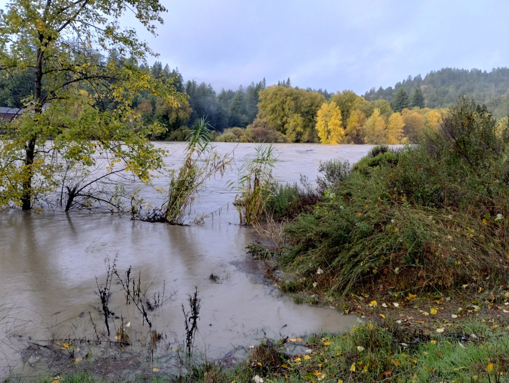 Life in the Flood&nbsp;Plain