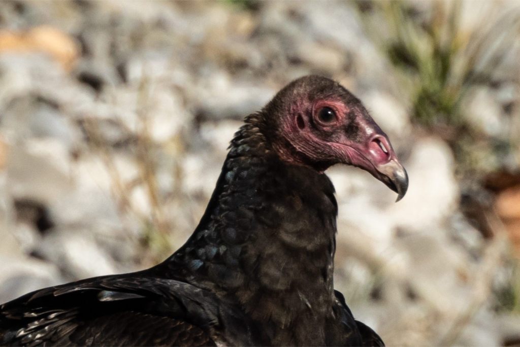 Beauty Is In the Eye of the&nbsp;Beholder