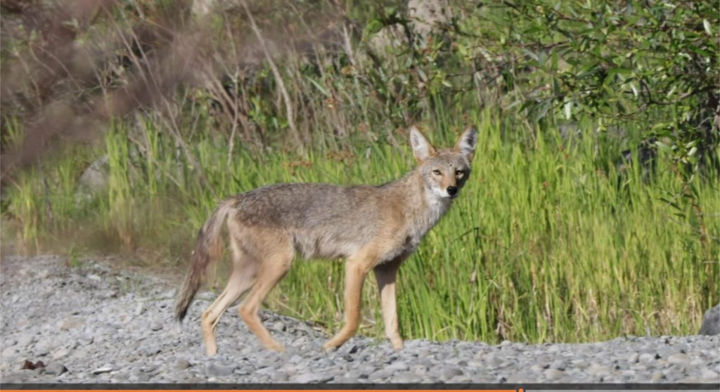 Long Time No See, Old&nbsp;Friends