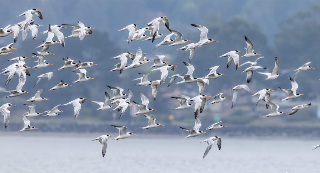 There Is a&nbsp;Season…